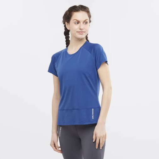 Camiseta Salomon Cross Run Corta Sleeve Mujer Azules | MX BNTU812